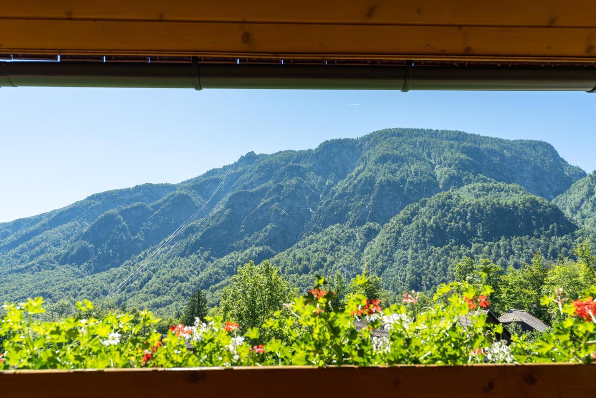 Alpik Chalets - Bohinj Bilik gambar